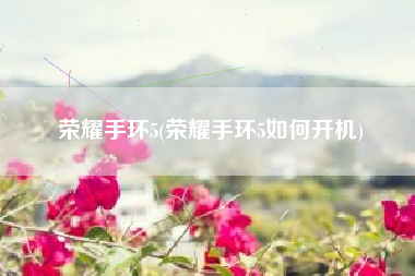 荣耀手环5(荣耀手环5如何开机)