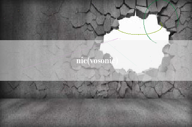 nic(vosonic)