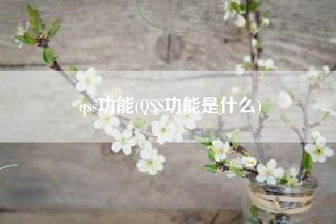 qss功能(QSS功能是什么)