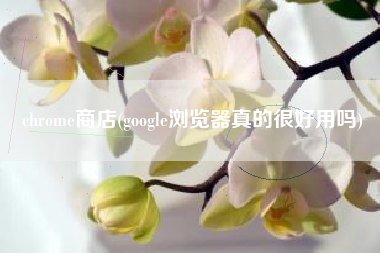 chrome商店(google浏览器真的很好用吗)