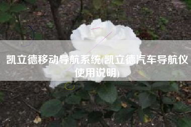 凯立德移动导航系统(凯立德汽车导航仪使用说明)