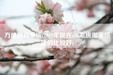 方维团购系统(2019年现在o2o系统哪家搭建的比较好)
