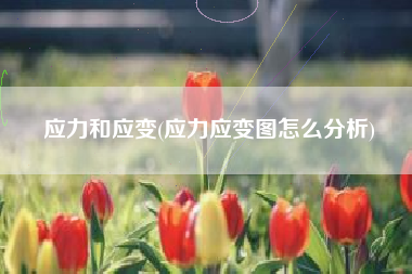 应力和应变(应力应变图怎么分析)