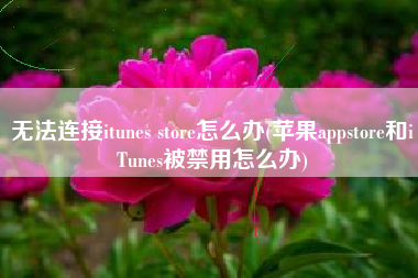 无法连接itunes store怎么办(苹果appstore和iTunes被禁用怎么办)