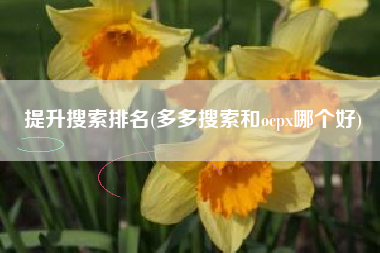 提升搜索排名(多多搜索和ocpx哪个好)
