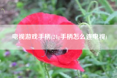 电视游戏手柄(24g手柄怎么连电视)