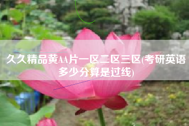 久久精品黄AA片一区二区三区(考研英语多少分算是过线)