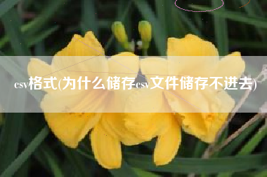 csv格式(为什么储存csv文件储存不进去)