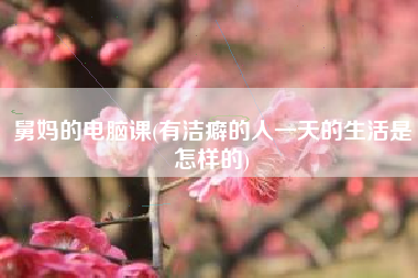 详细阅读:舅妈的电脑课(有洁癖的人一天的生活是怎样的) 舅妈的电脑课(有洁癖的人一天的生活是怎样的)