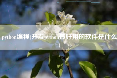 python编程(开发python最好用的软件是什么)