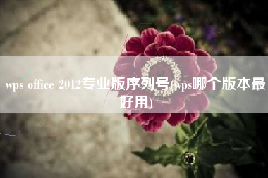 wps office 2012专业版序列号(wps哪个版本最好用)