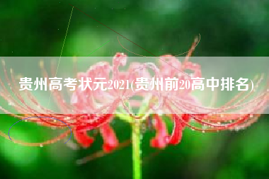 贵州高考状元2021(贵州前20高中排名)