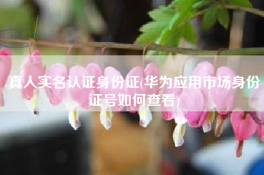 真人实名认证身份证(华为应用市场身份证号如何查看)