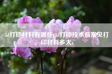 3d打印材料有哪些(3d打印技术最常见打印材料多大)