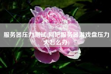 服务器压力测试(网吧服务器游戏盘压力大怎么办)
