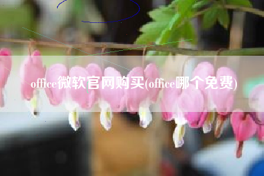 office微软官网购买(office哪个免费)