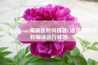 debugger(code编辑器如何搭建C语言的调试和编译运行环境)