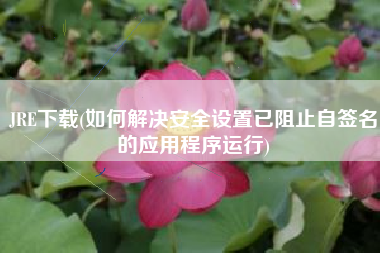 JRE下载(如何解决安全设置已阻止自签名的应用程序运行)