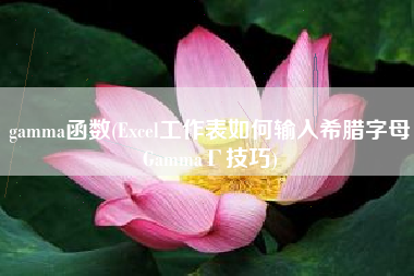 gamma函数(Excel工作表如何输入希腊字母GammaΓ技巧)