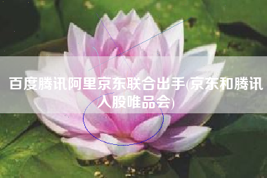 百度腾讯阿里京东联合出手(京东和腾讯入股唯品会)
