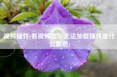 视频插件(看视频显示无法加载插件是什么意思)
