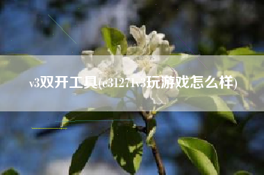 v3双开工具(e31271v3玩游戏怎么样)