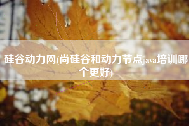 硅谷动力网(尚硅谷和动力节点java培训哪个更好)