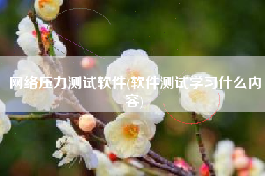 网络压力测试软件(软件测试学习什么内容)