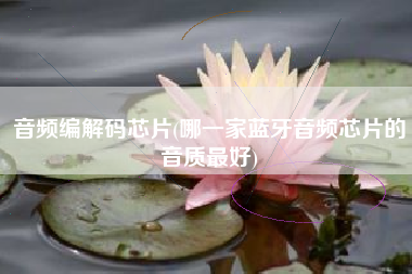 音频编解码芯片(哪一家蓝牙音频芯片的音质最好)