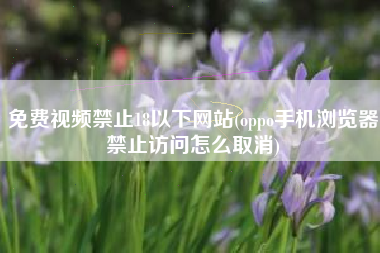 免费视频禁止18以下网站(oppo手机浏览器禁止访问怎么取消)