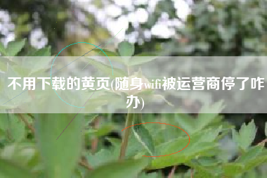 不用下载的黄页(随身wifi被运营商停了咋办)