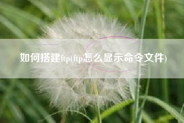 如何搭建ftp(ftp怎么显示命令文件)