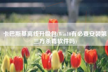 卡巴斯基离线升级包(Win10有必要安装第三方杀毒软件吗)