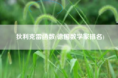 狄利克雷函数(德国数学家排名)