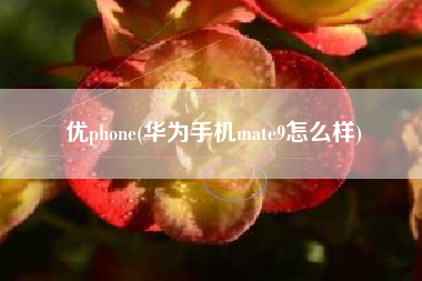 优phone(华为手机mate9怎么样)
