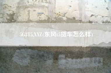 5G3T5.XYZ(东风t5货车怎么样)