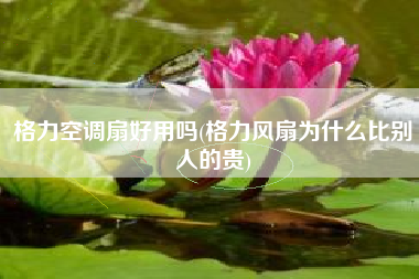 格力空调扇好用吗(格力风扇为什么比别人的贵)