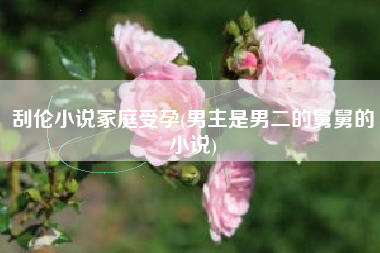 刮伦小说冢庭受孕(男主是男二的舅舅的小说)