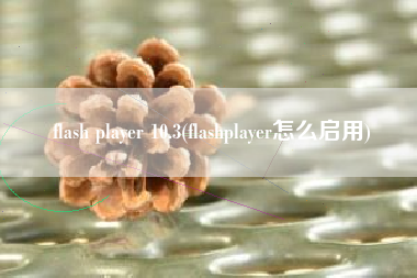flash player 10.3(flashplayer怎么启用)