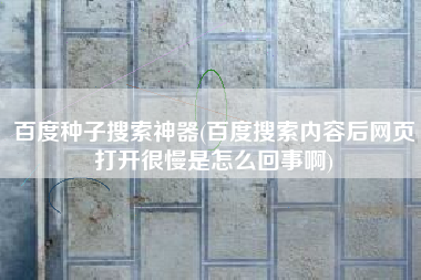 百度种子搜索神器(百度搜索内容后网页打开很慢是怎么回事啊)