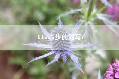 follow5(步的简写)
