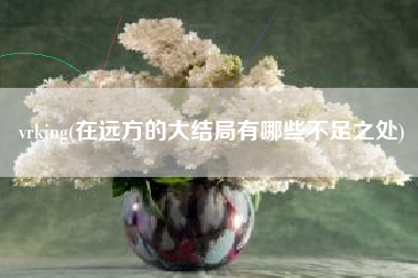 vrking(在远方的大结局有哪些不足之处)