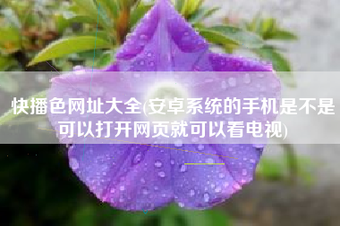 快播色网址大全(安卓系统的手机是不是可以打开网页就可以看电视)