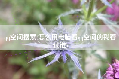 qq空间搜索(怎么用电脑看qq空间的我看过谁)