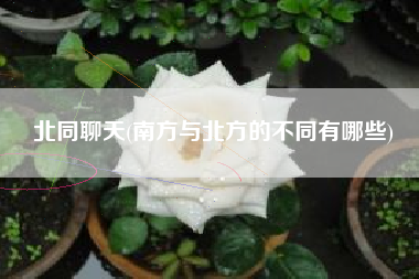 北同聊天(南方与北方的不同有哪些)