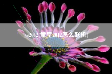 vs2012(拳皇2012怎么联机)