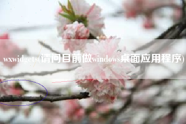 wxwidgets(请问目前做windows桌面应用程序)