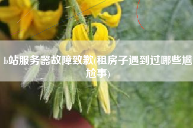 b站服务器故障致歉(租房子遇到过哪些尴尬事)