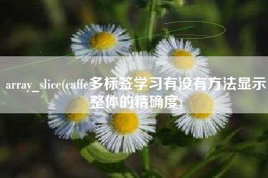 array_slice(caffe多标签学习有没有方法显示整体的精确度)