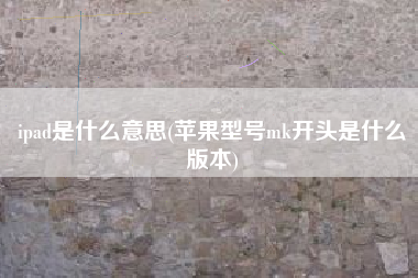 ipad是什么意思(苹果型号mk开头是什么版本)